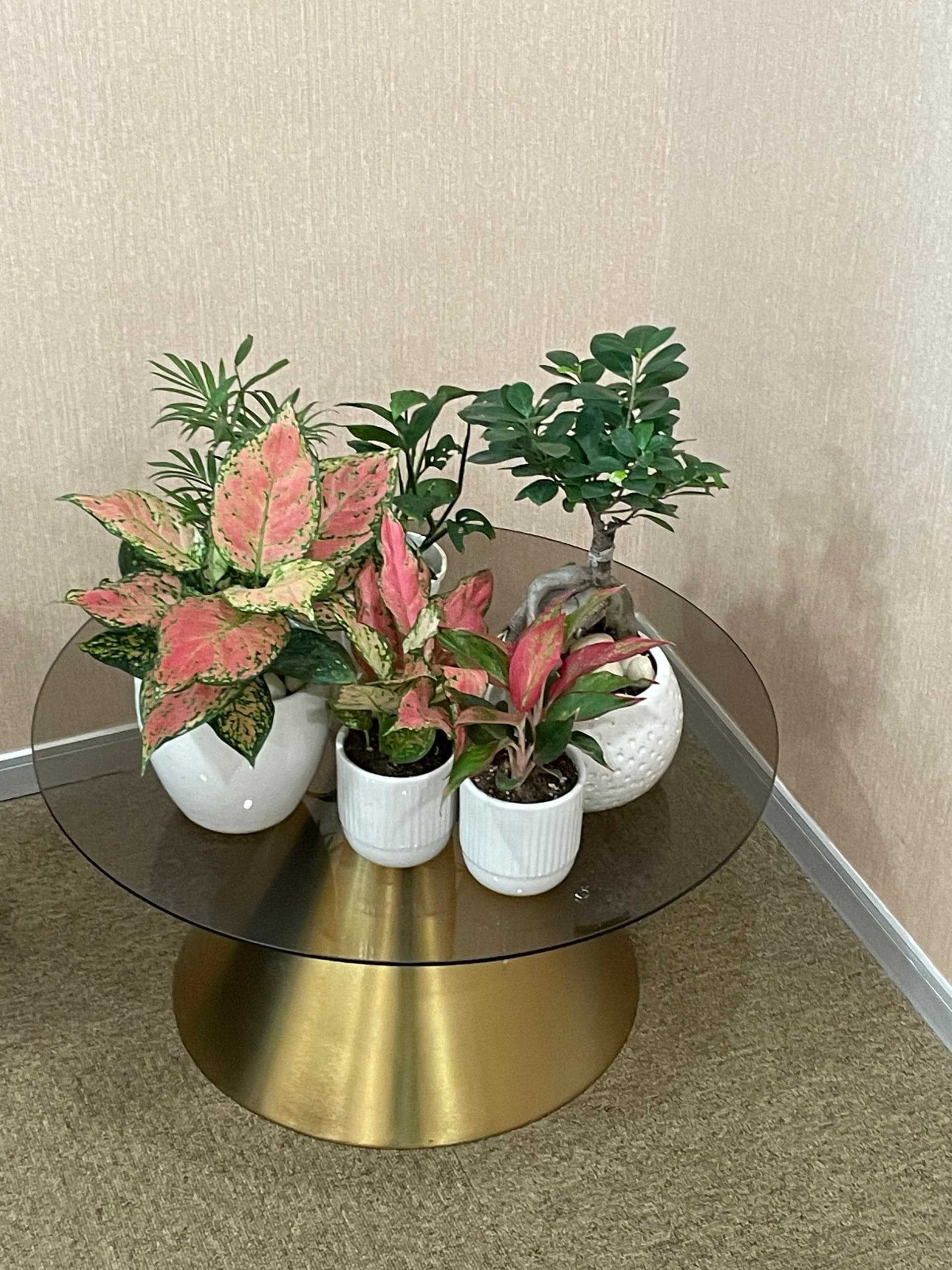 Gallery 05