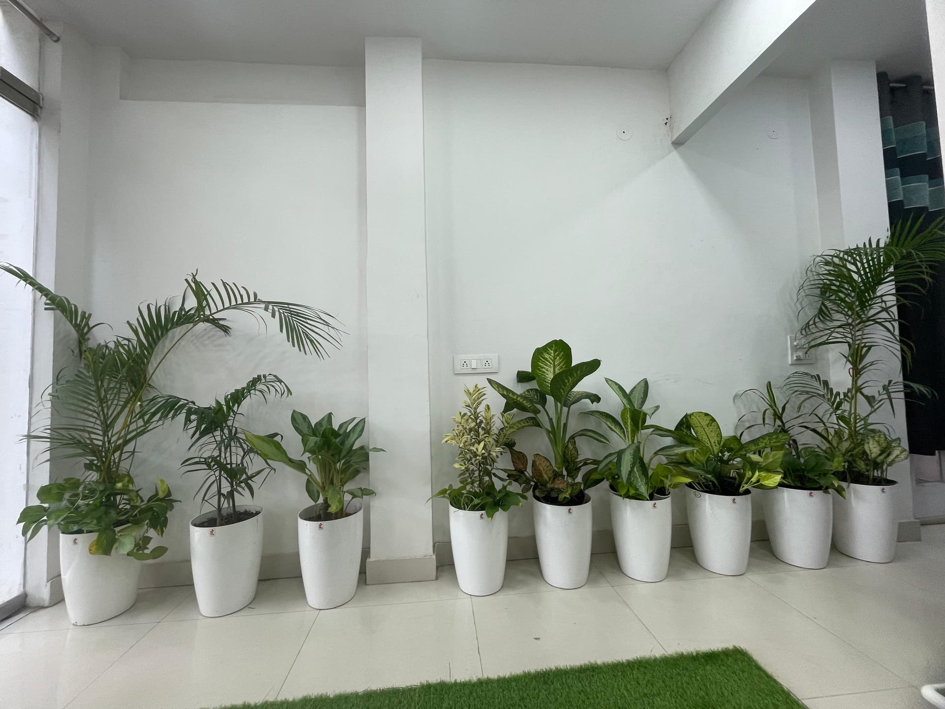 Gallery 07