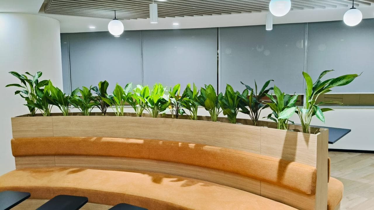 Gallery 11