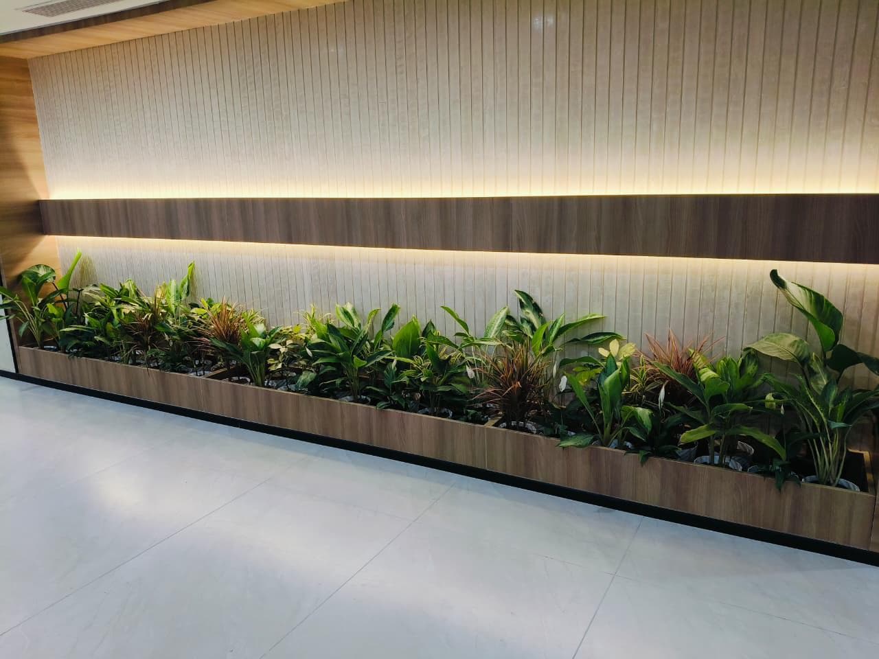 Gallery 12