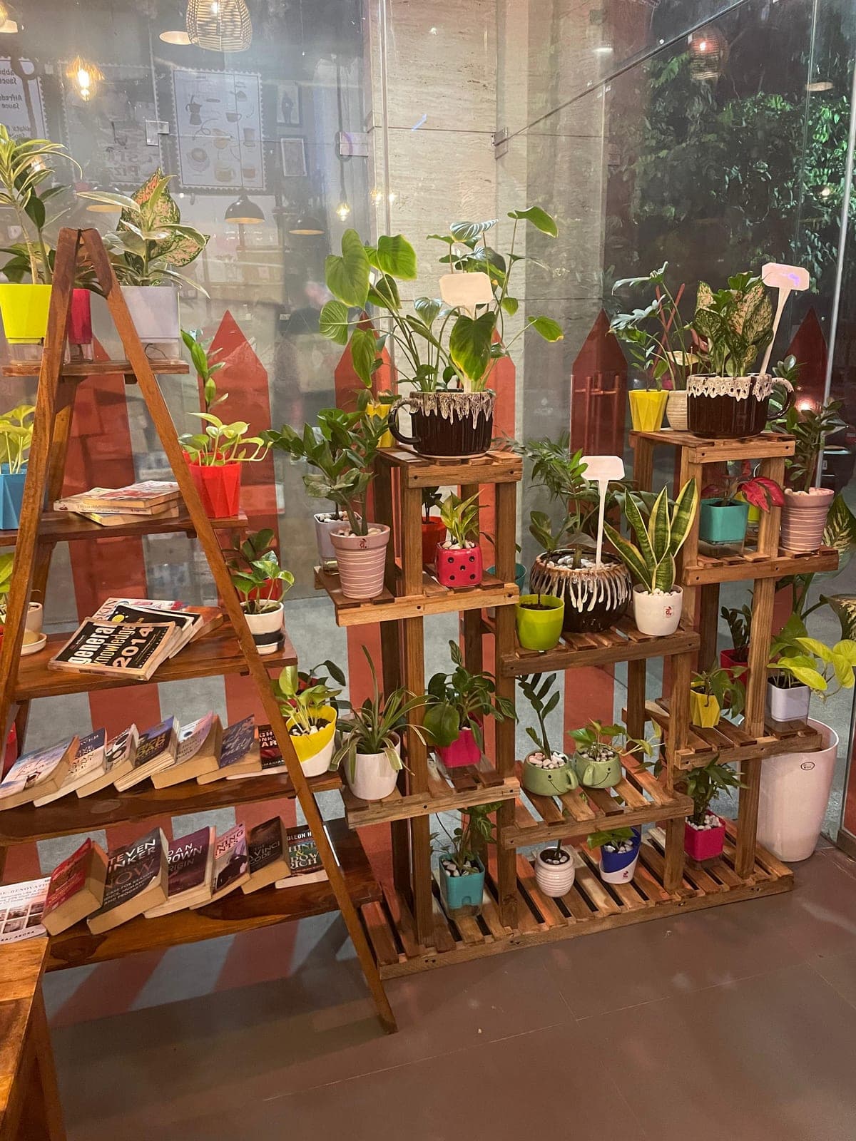 Colorful plant display installed by Growitbro